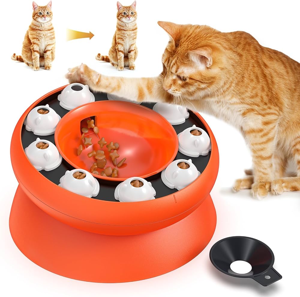 Cat product image